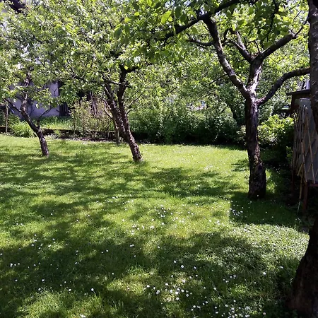 Apartma Rutar