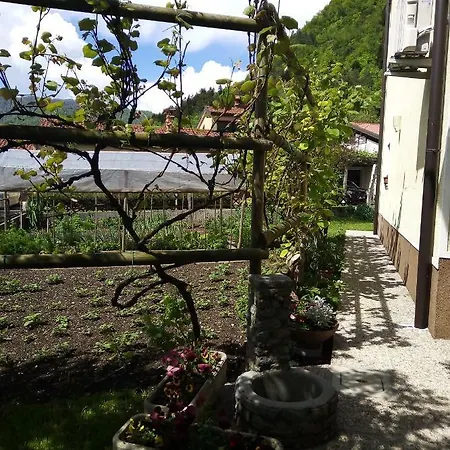 Apartma Rutar טולמין